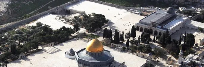 عبدالعزيز الشريف banner