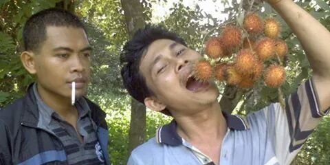 alidongkal's profile banner image
