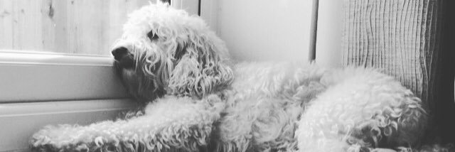 ashleyheap17's profile banner image