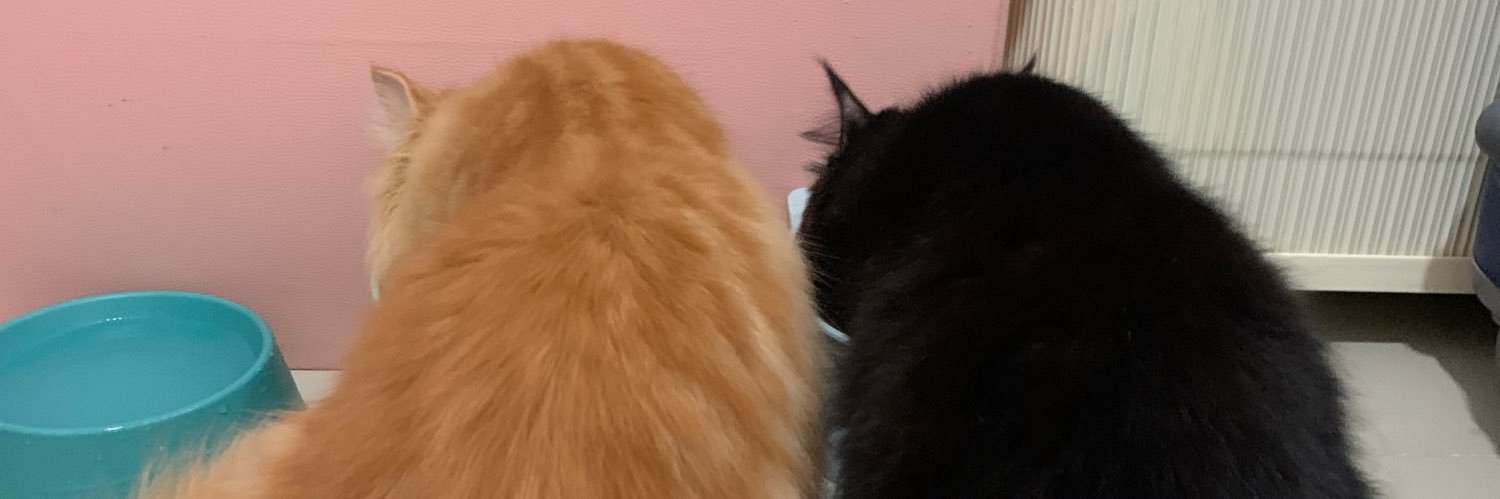 chellechix_'s profile banner image