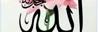 elly_nuur's profile banner image