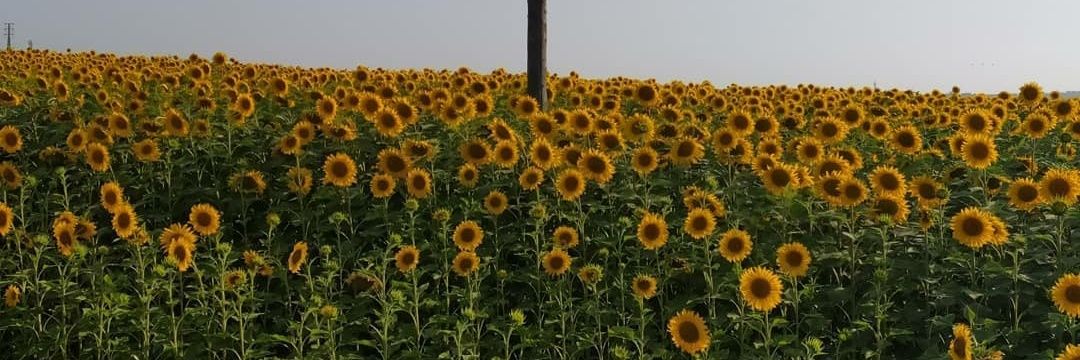 CarlaJ96's profile banner image