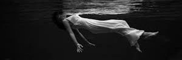 wings37381 Profile Banner