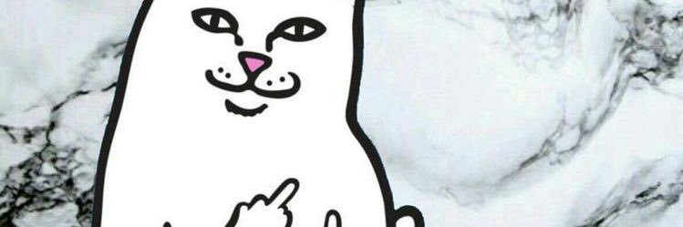 fbrnputra_'s profile banner image