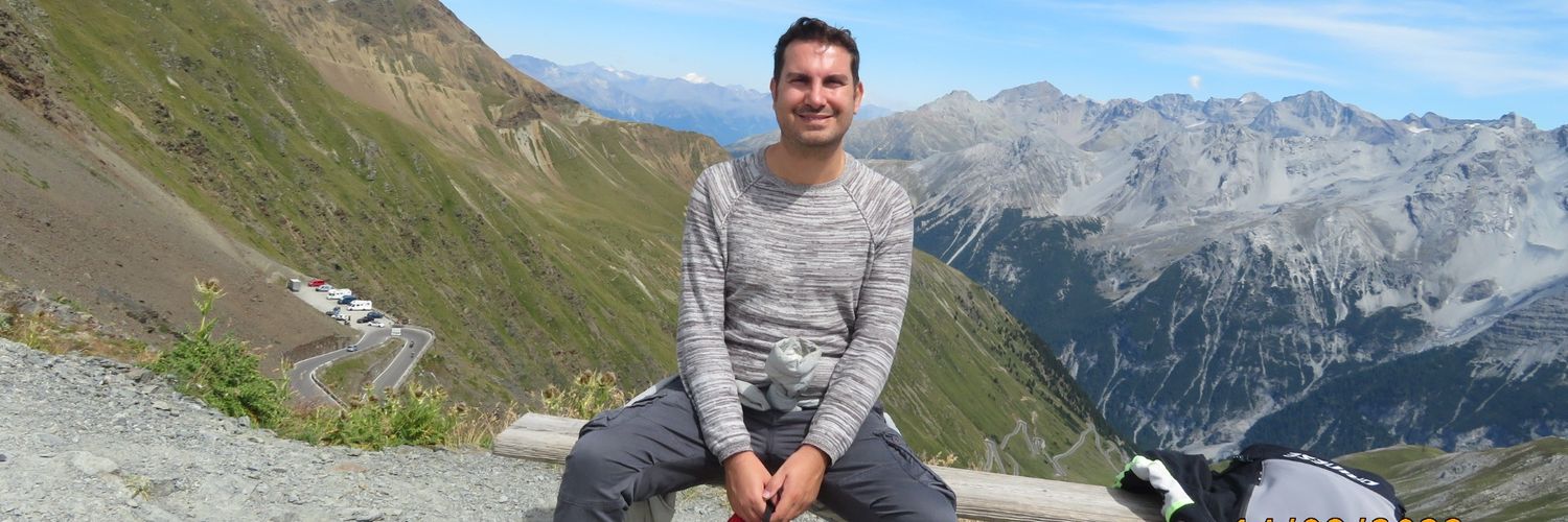 Davide Lavore banner