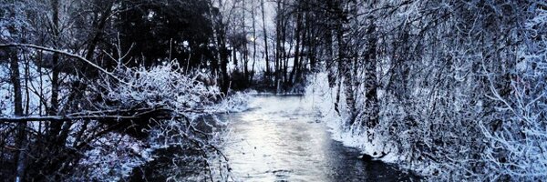 Gjerdingenmin Profile Banner