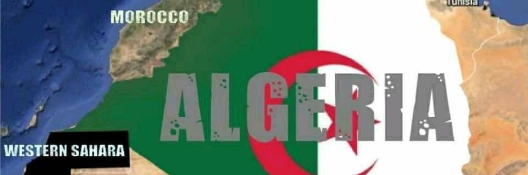 bmalg2000's profile banner image