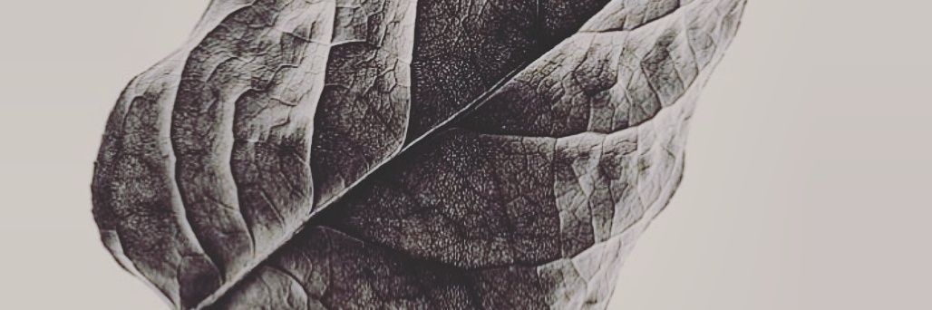 emnemroue's profile banner image