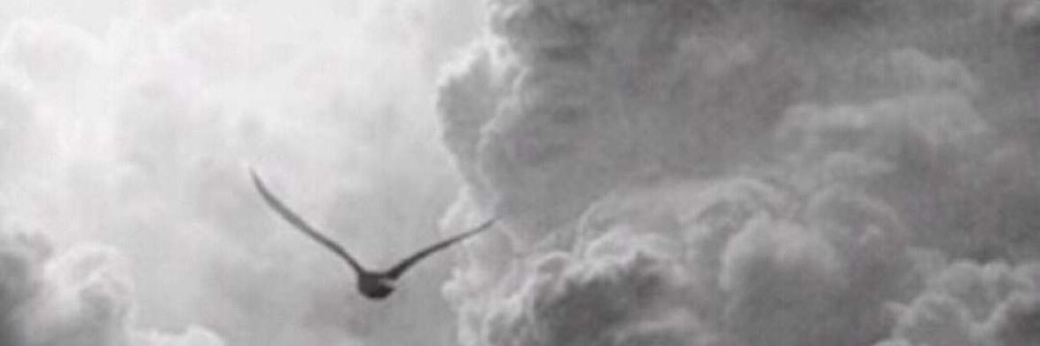 قهوه حلوه banner