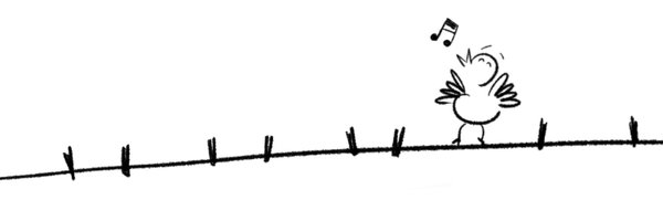 diegoareso Profile Banner