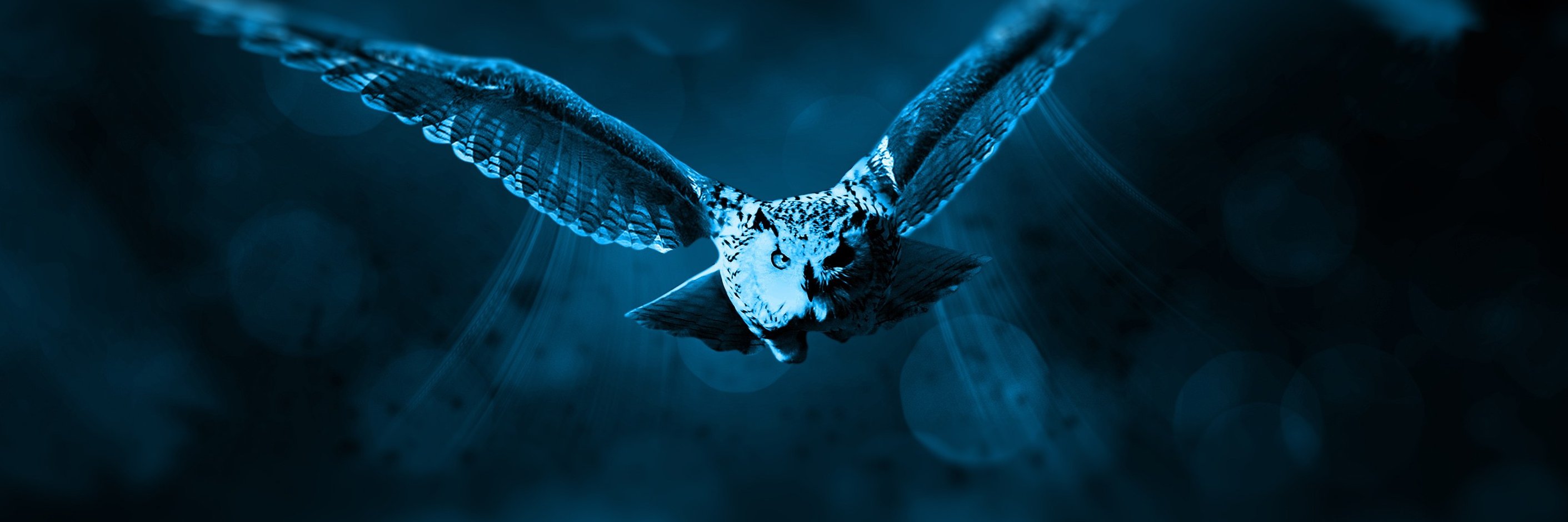 GLAIRBRAUN's profile banner image