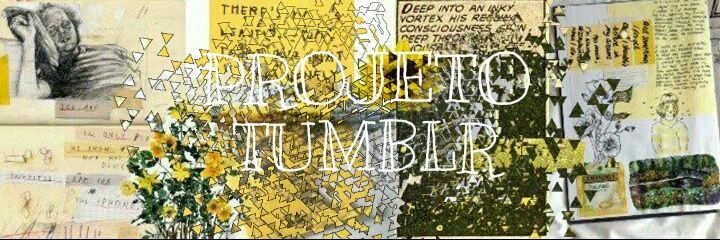 packstumblrr's profile banner image