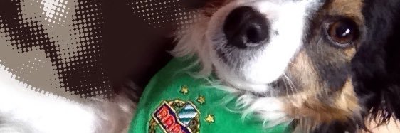 autrischa's profile banner image