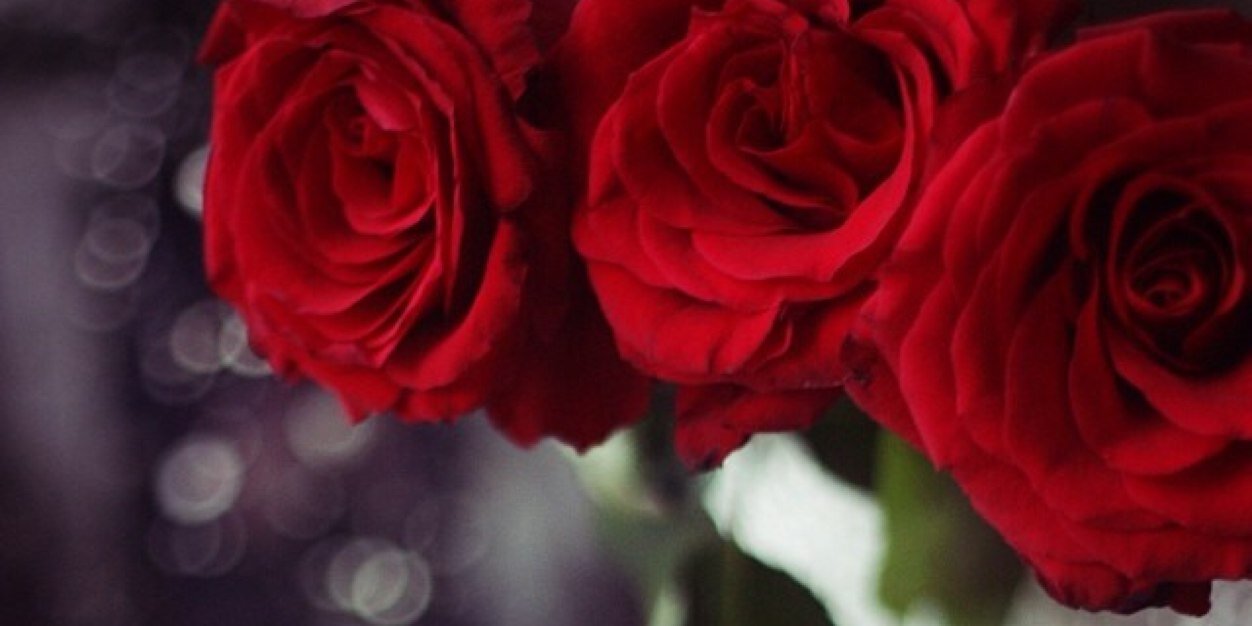 Swerah_'s profile banner image