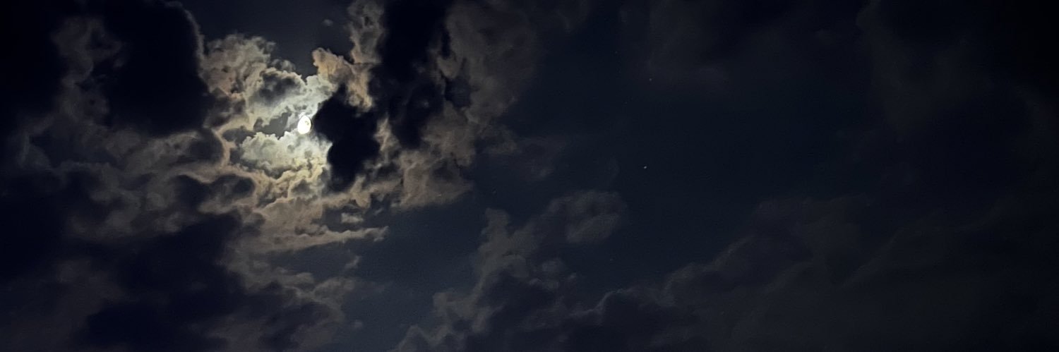 esatozzcan's profile banner image