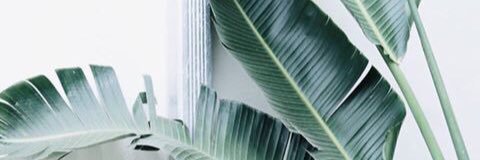 ModestModePR's profile banner image