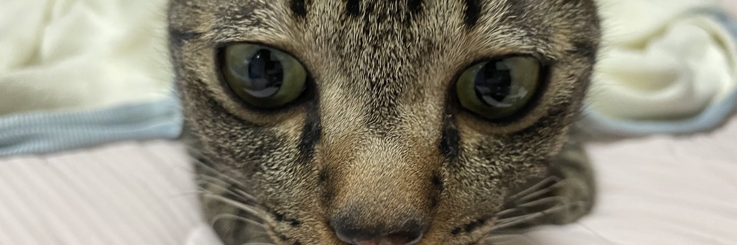 オイちゃんねる🩲🐰 banner