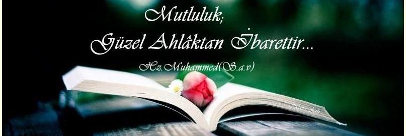 ibrahimhalilson's profile banner image
