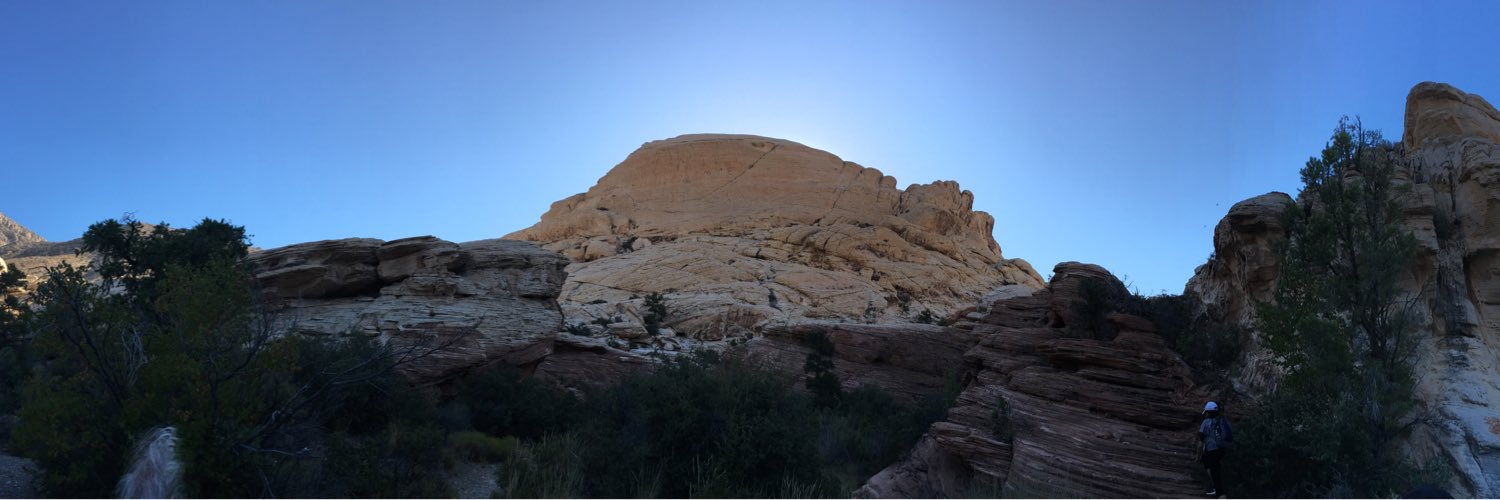 Stewart Lyons banner