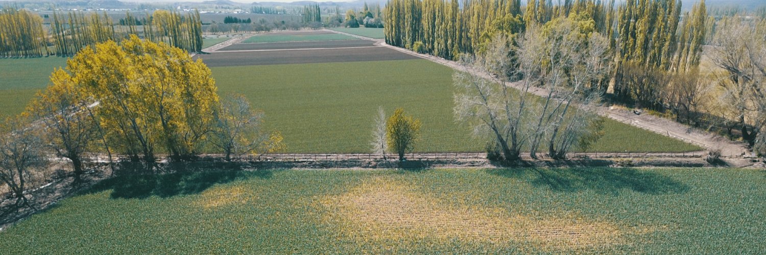fedeframa's profile banner image