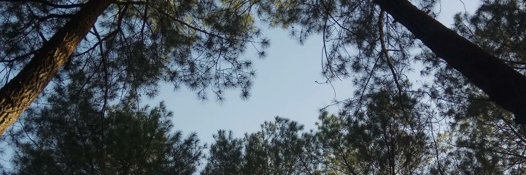 buumbum97's profile banner image