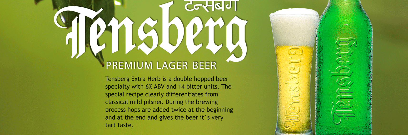 TensbergLager's profile banner image