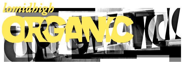 Lomidhigh banner
