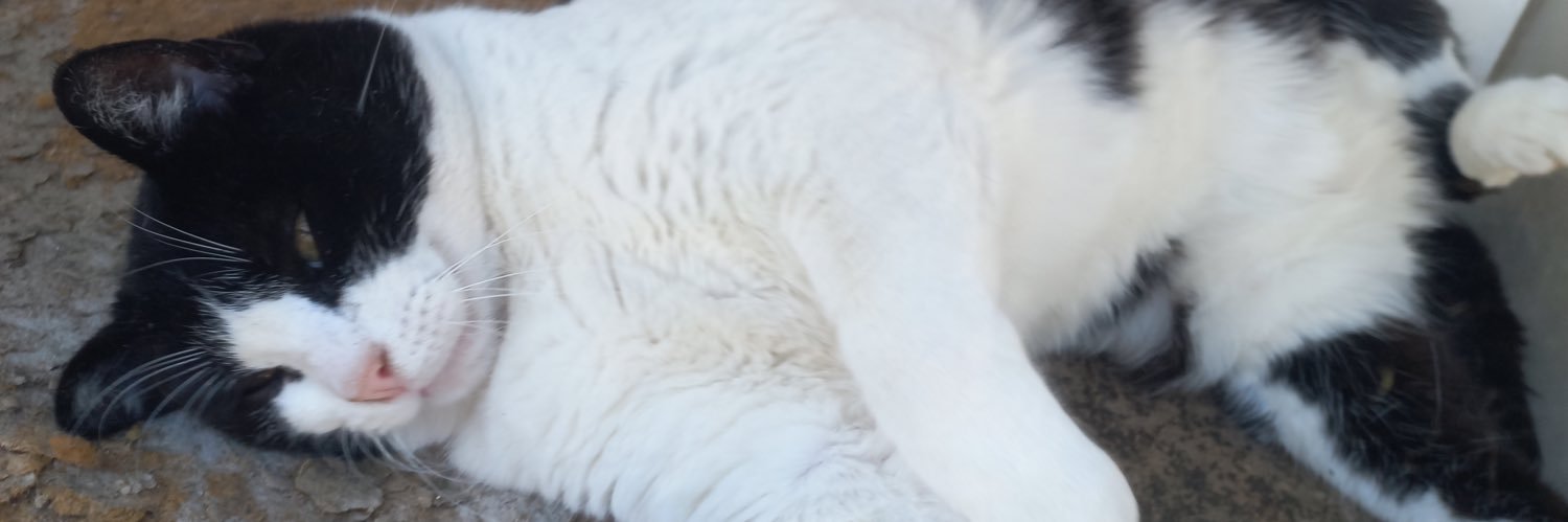 puxafdp's profile banner image