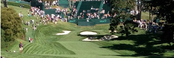 gohermie Profile Banner