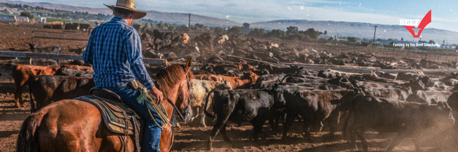 Beef Checkoff banner