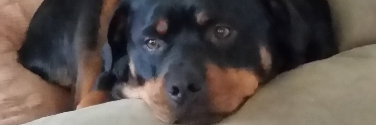 Veronica Smith🇨🇦 banner