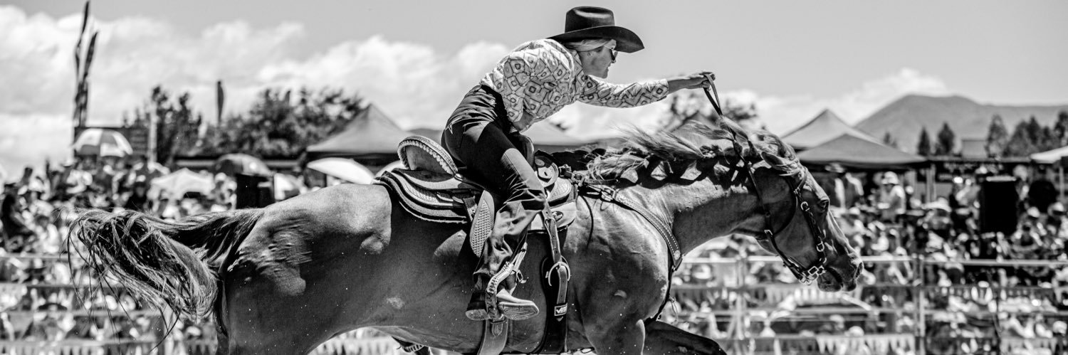 Emilia Lanigan banner