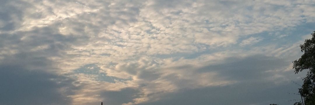 0t_ia's profile banner image