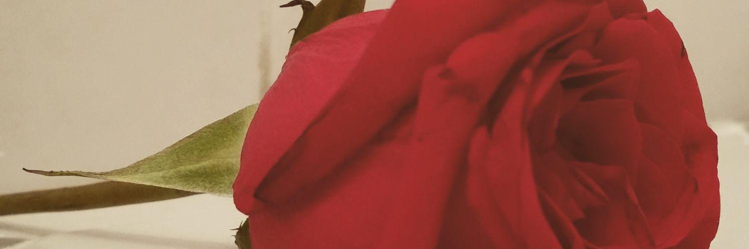 emelina_23's profile banner image