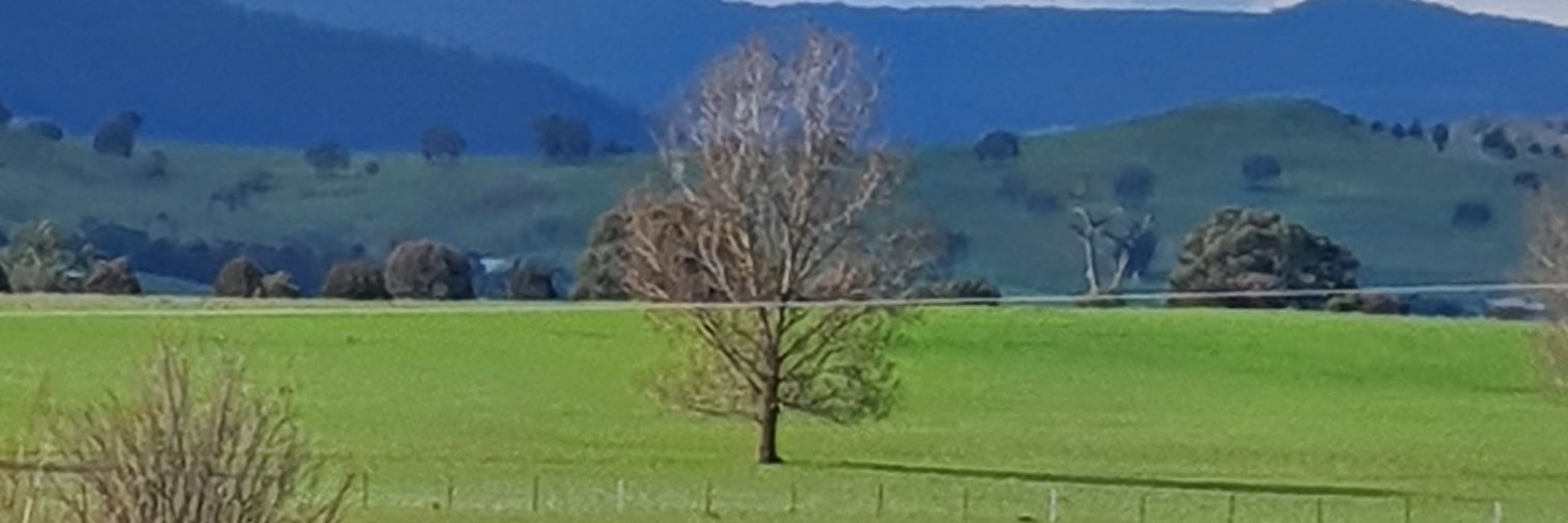 BenNally's profile banner image