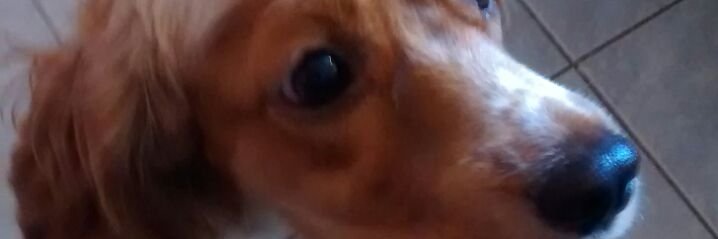 DarioQuintero4's profile banner image
