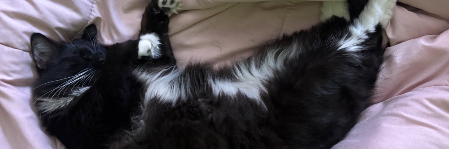 SAT69N's profile banner image