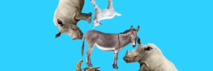 F_mo97's profile banner image