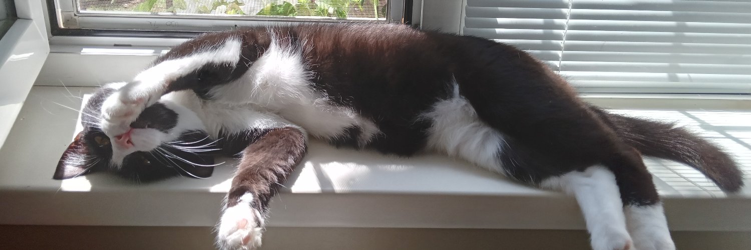 я знала, малює котяча лапа 🐈 banner