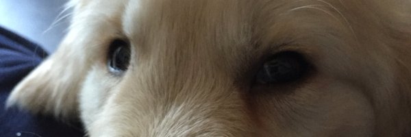 JustGeorgeGR Profile Banner