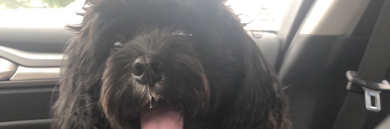 IsabelleArrell's profile banner image