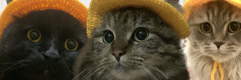 indahnuranggr's profile banner image