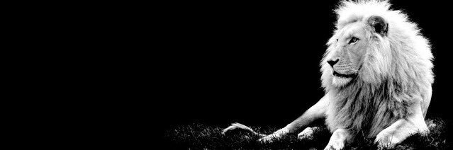 XimoIvarsRuiz's profile banner image