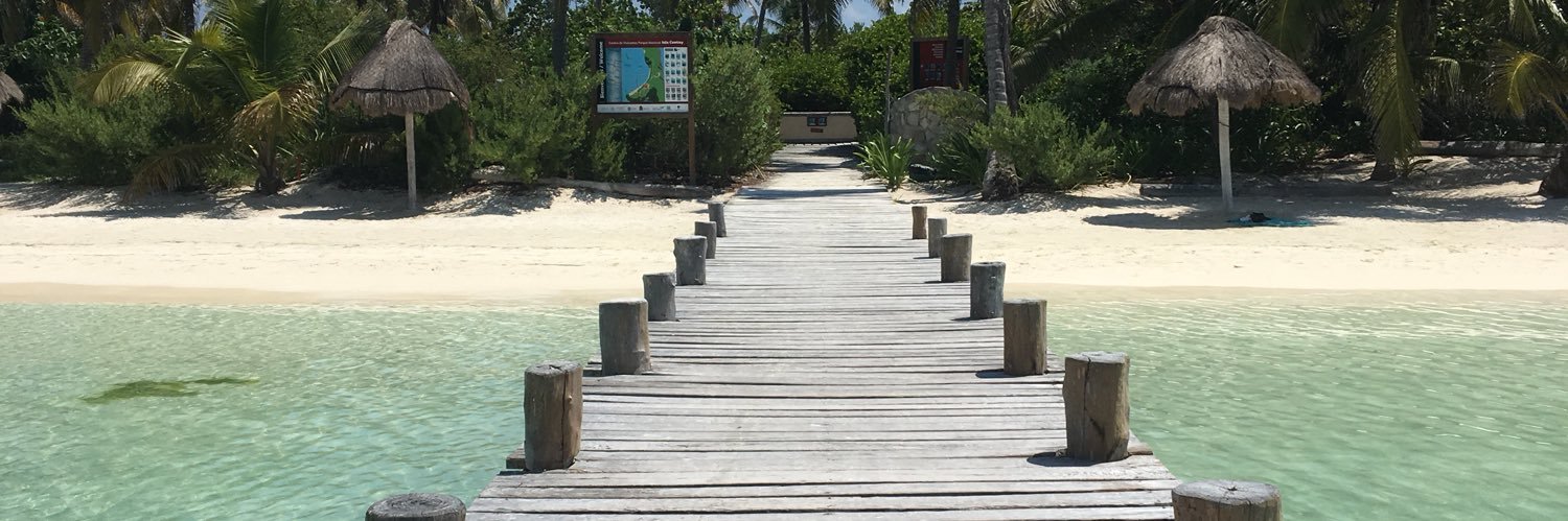 Alex Patterson banner