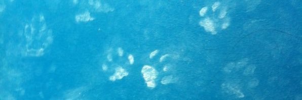 cabachen81's profile banner image