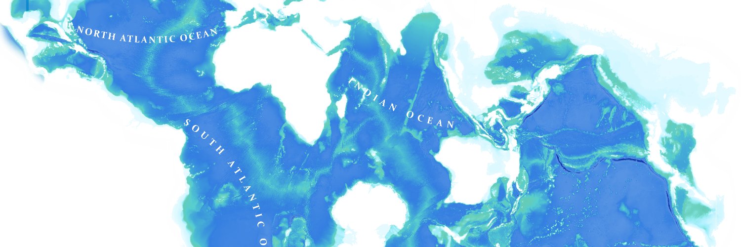 Vanessa Tebbitt banner