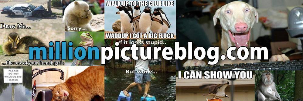millionpicblog's profile banner image