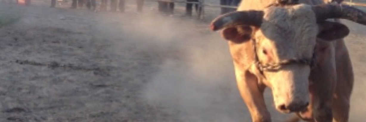 Toribio_Romo's profile banner image