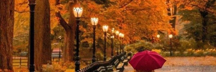 olawale tijani🇺🇸 banner