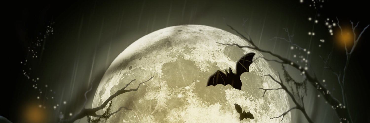 KVonvo's profile banner image
